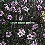 product of Salnikov and Rounik Sethi „Code Name Pollen“ mrs vee 2010